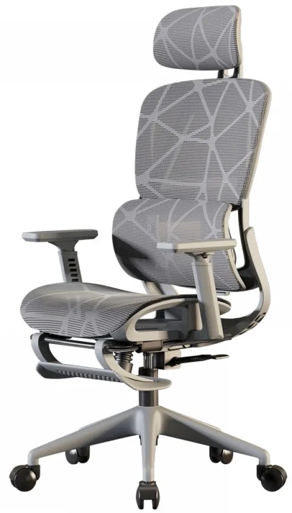 Scaun ergonomic, functie translatie sezut, cotiere reglabile 3D, tetiera 3D, suport lombar reglabil, spătar reglabil inaltime, pivotant, suport picioare, Gri