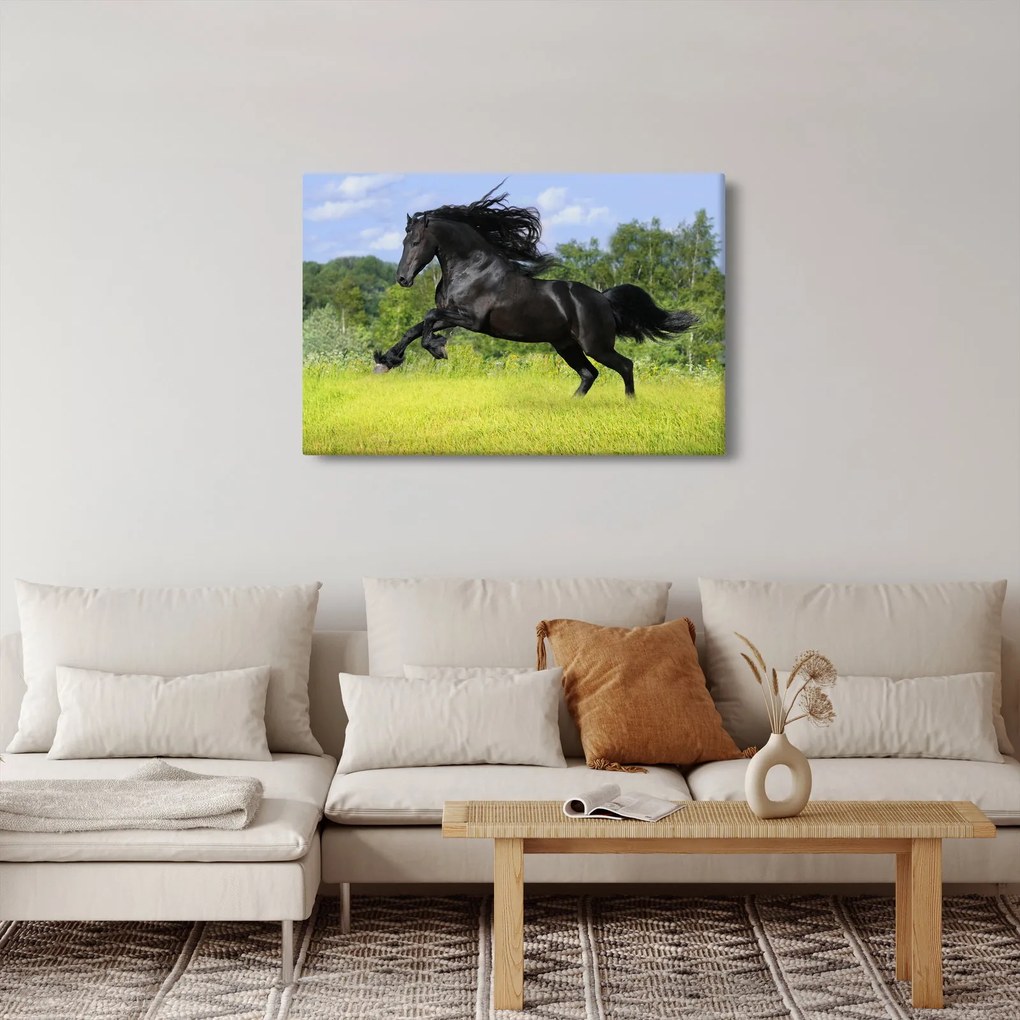 Tablou - Cal cu o coamă curgătoare (90x60 cm)