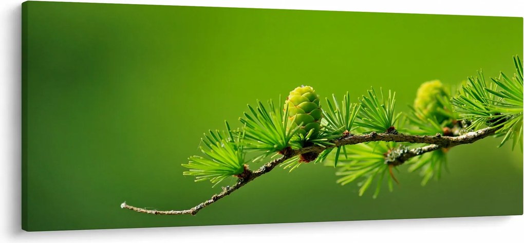 Tablou con verde (120x50 cm)