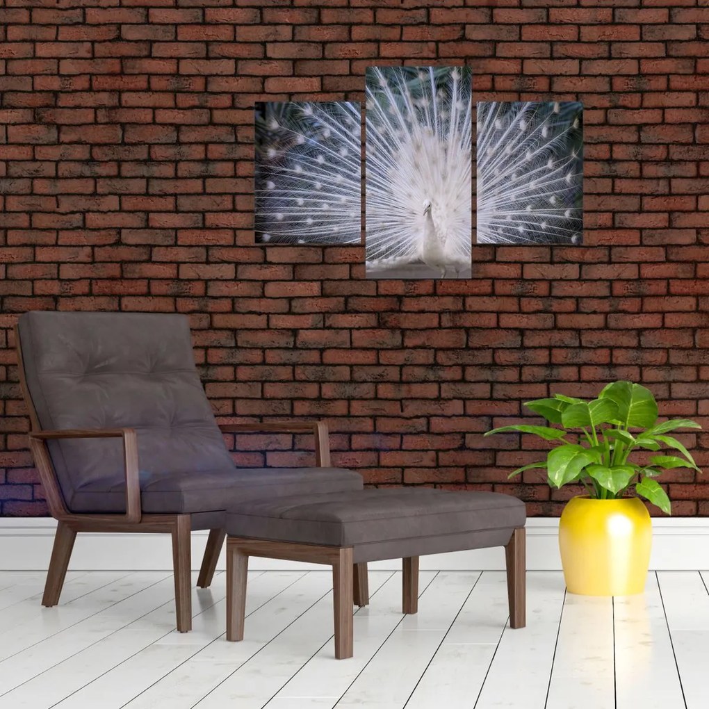 Tablou - Păun alb (90x60 cm)