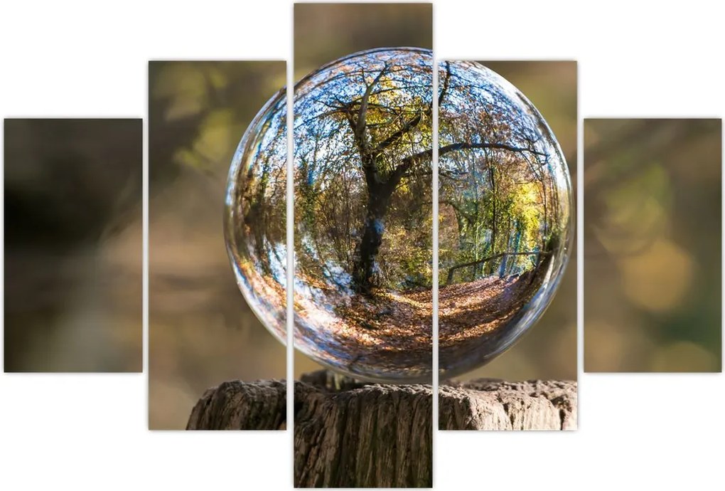 Tablou - Reflecție intr-o sferă transparentă (150x105 cm)