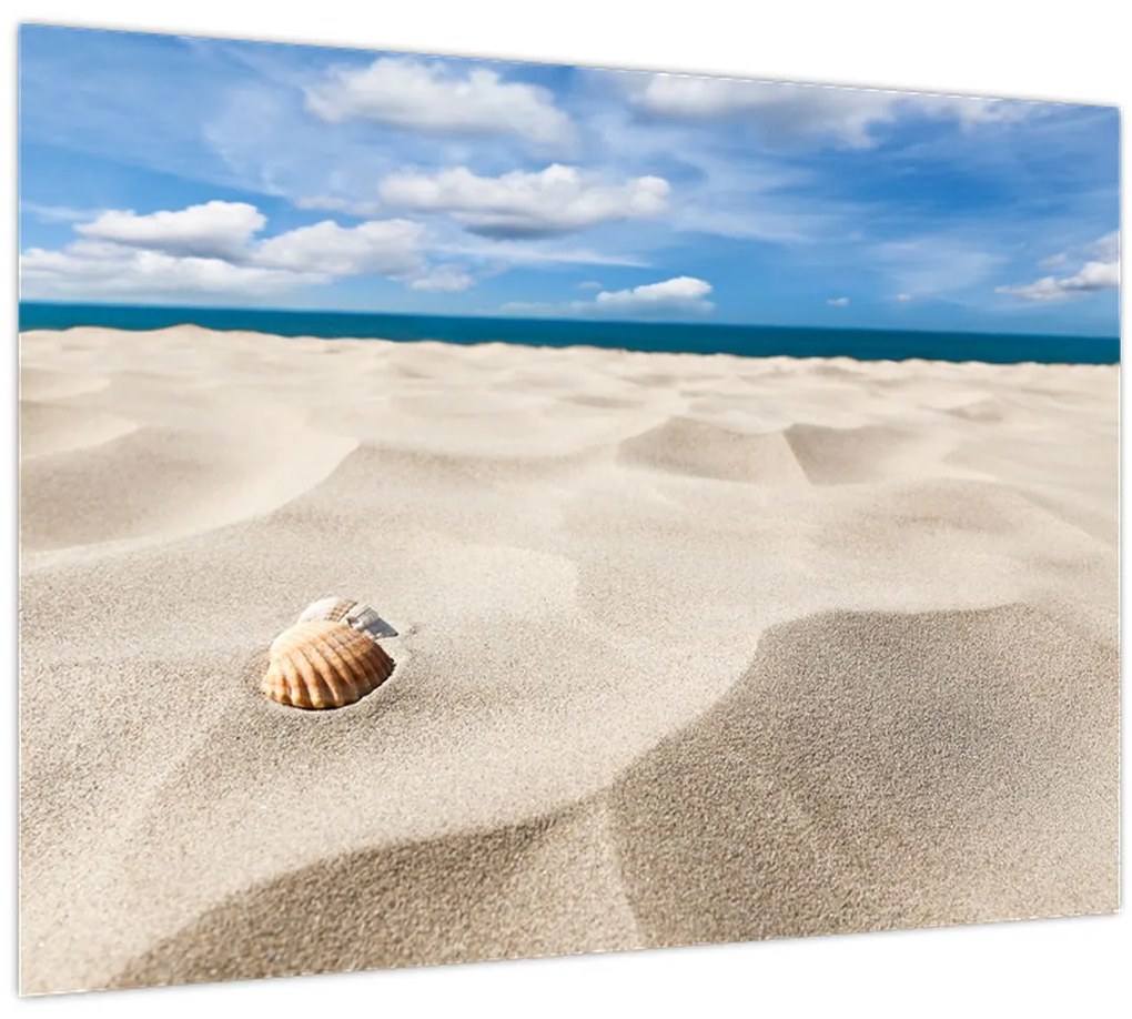 Tablou - Scoici pe plajă (70x50 cm)