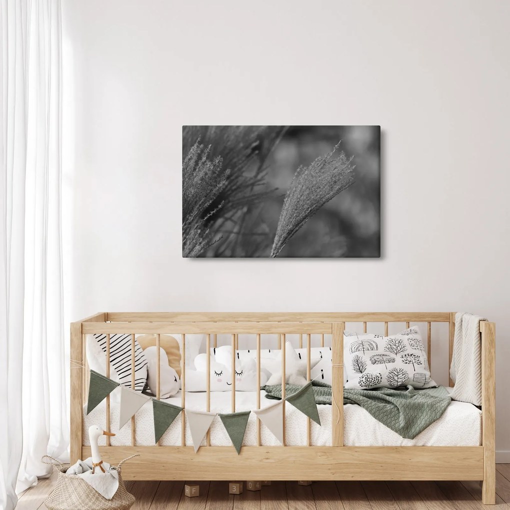 Tablou - Iarbă de pampas uscată (90x60 cm)