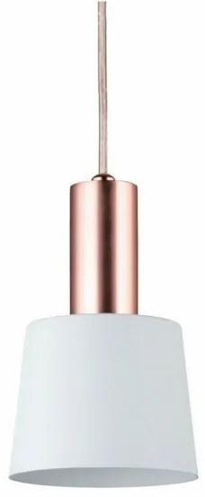 Lustră pe cablu 1xE14/20W NEORDIC HALDAR 230V Paulmann 79656