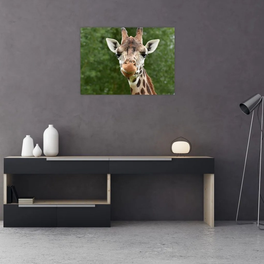 Tablou pe sticlă cu girafa (70x50 cm)