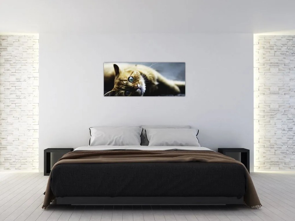 Tablou cu pisica (120x50 cm)