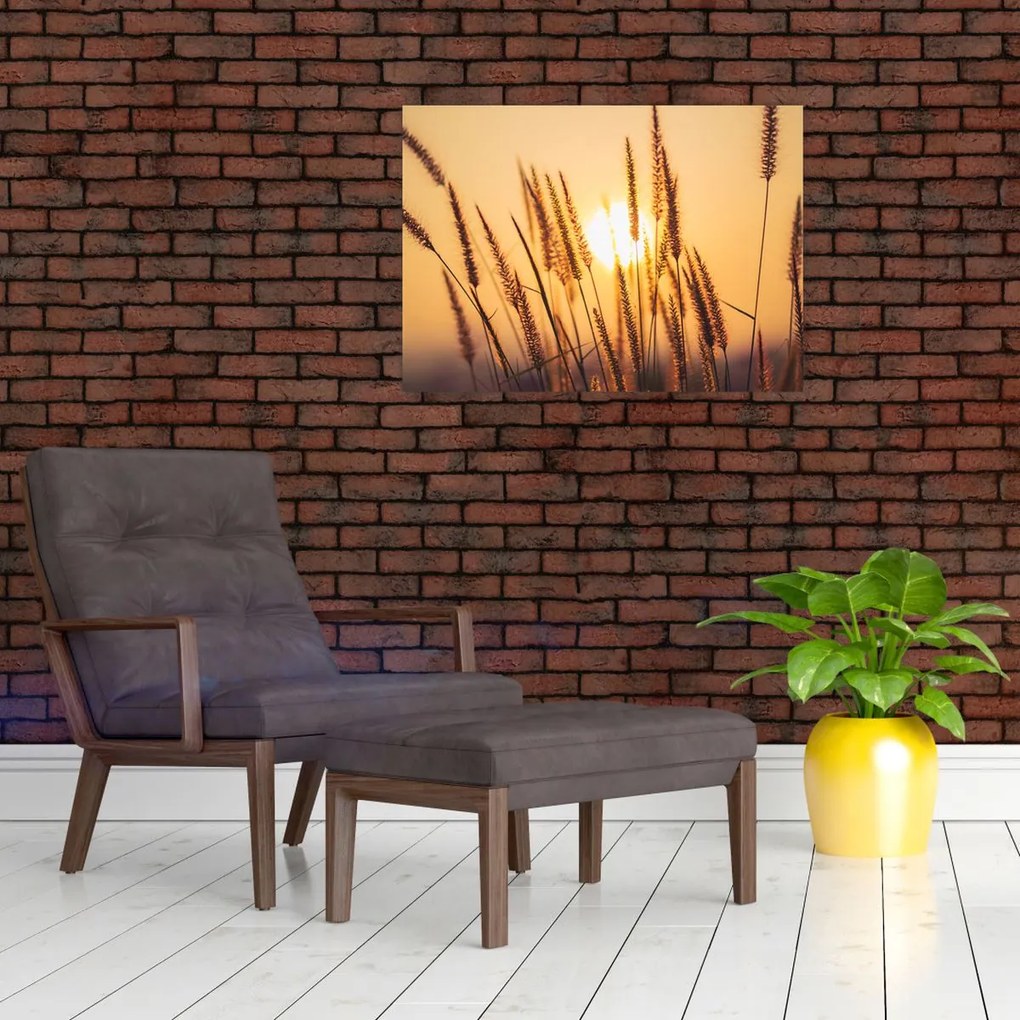 Tablou - Iarbă la soare (70x50 cm)
