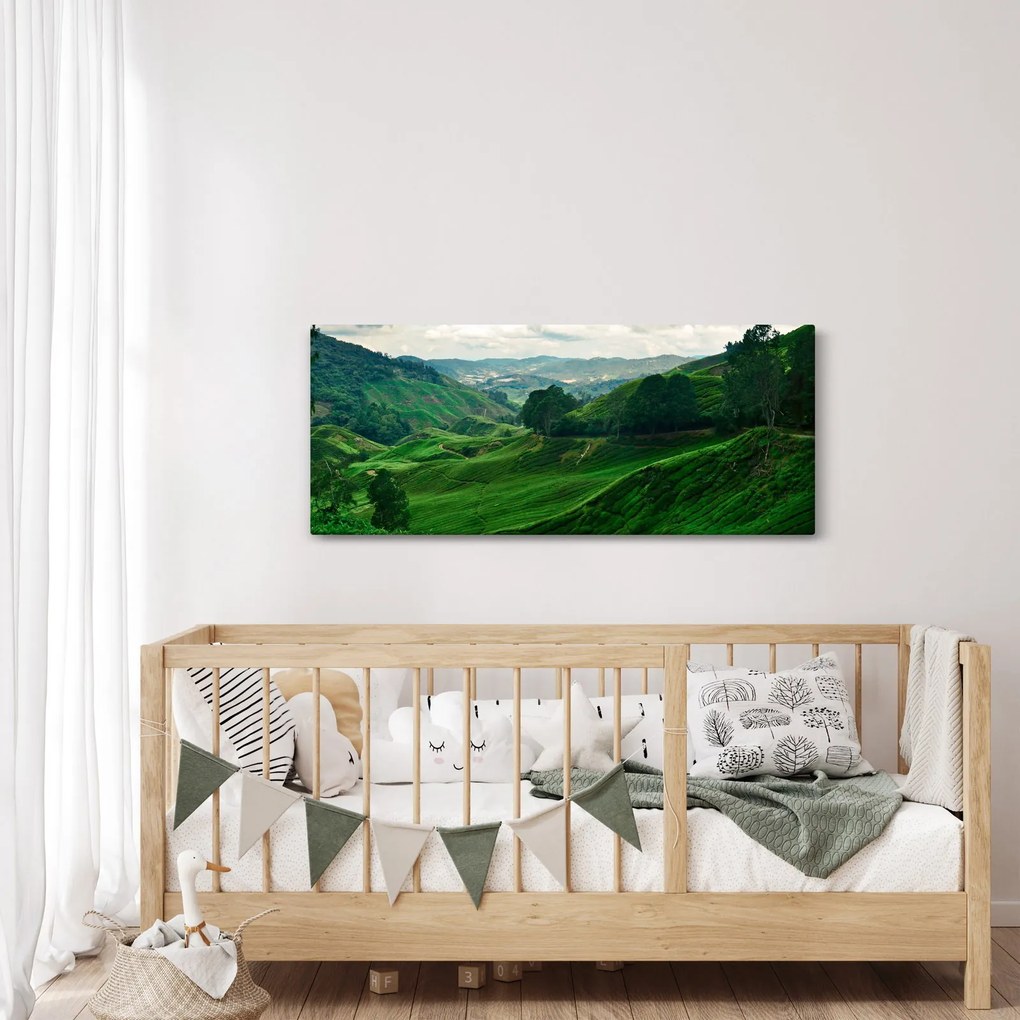 Tablou Plantații de ceai - Malaezia (120x50 cm)