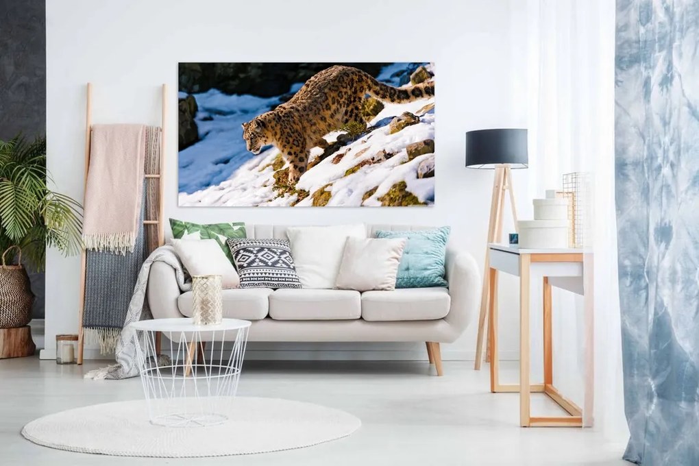 Tablou tip canvas Jaguar in zapada - 80x50cm