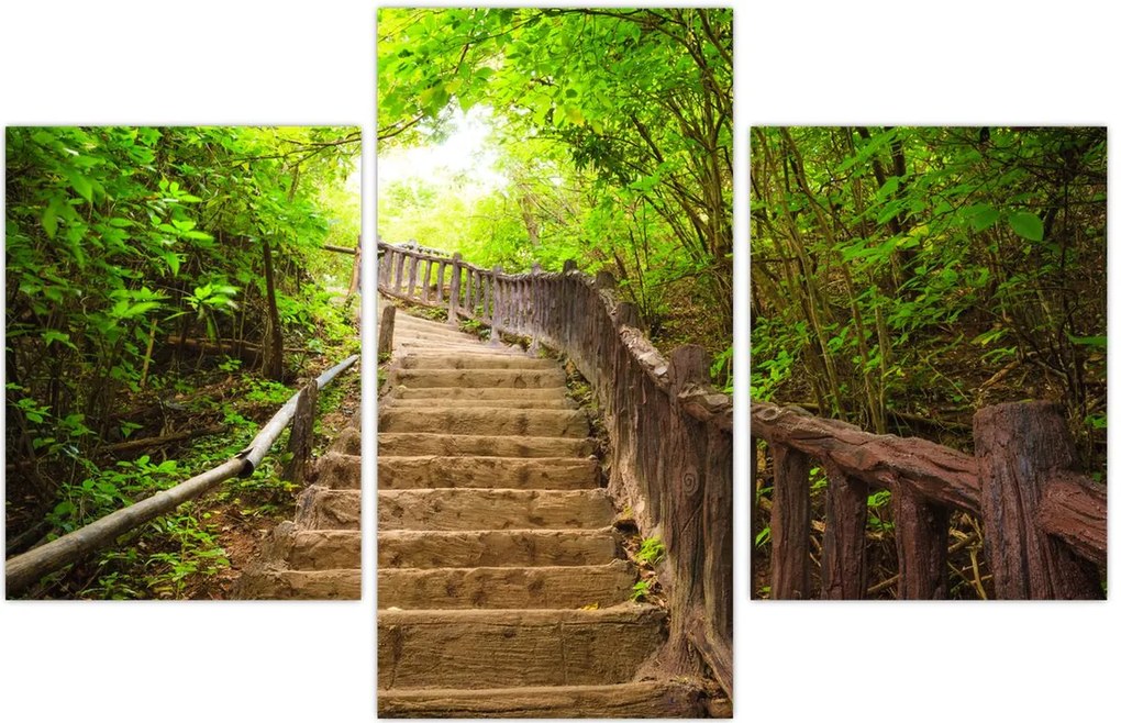 Tablou - Scări în natură (90x60 cm)