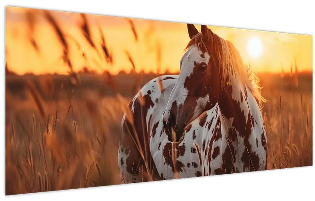 Tablou - Cal la Apus (120x50 cm)