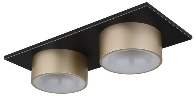 Plafoniera LED negru sampanie RAYMOND 2L