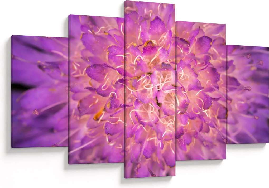 Tablou detailat cu floare (150x105 cm)