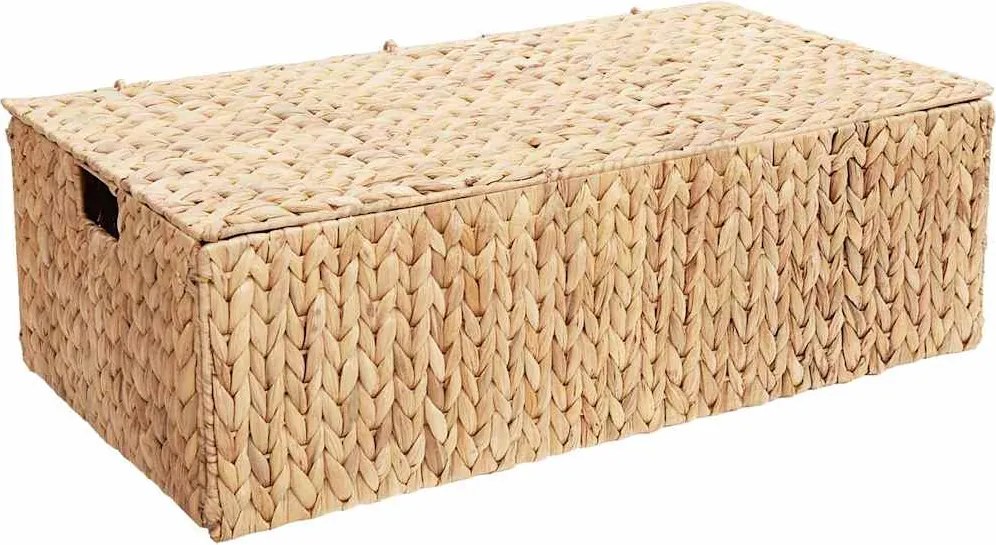 vidaXL Cutie de depozitare natural 60 x 38 x 20 cm Zambilă de apă