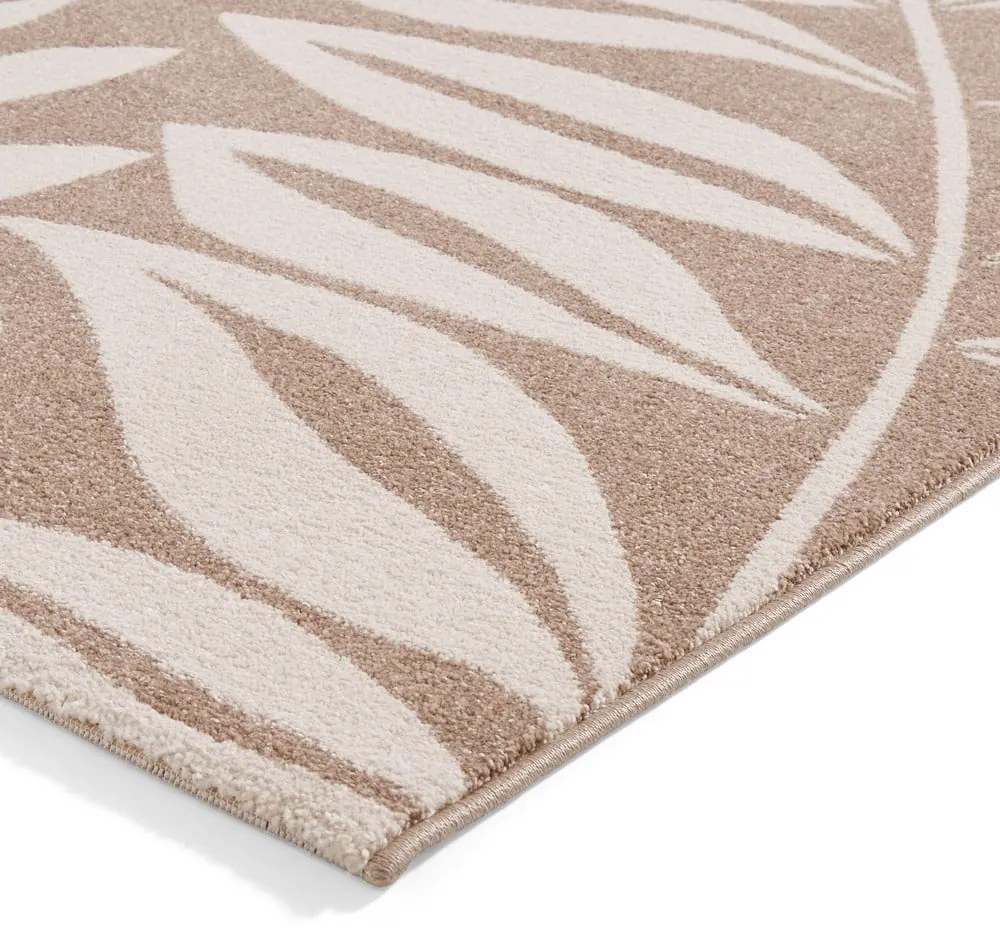 Covor maro deschis 120x170 cm Sorral Leaves – Catherine Lansfield