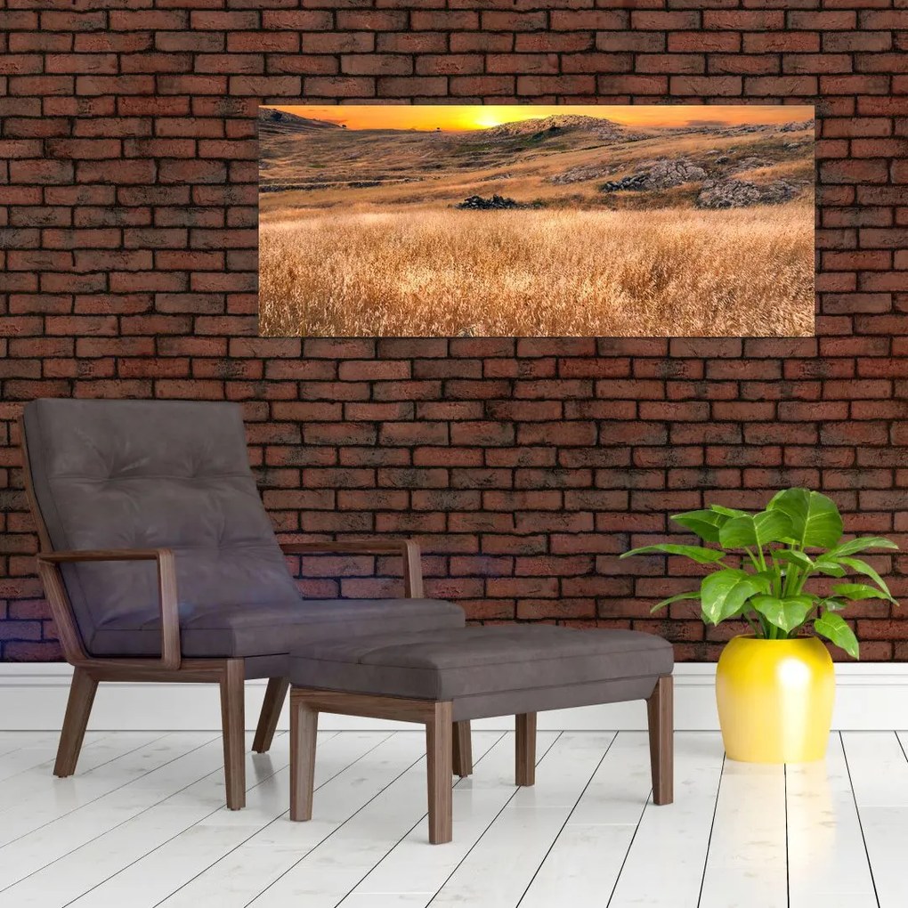 Tablou cu câmp (120x50 cm)