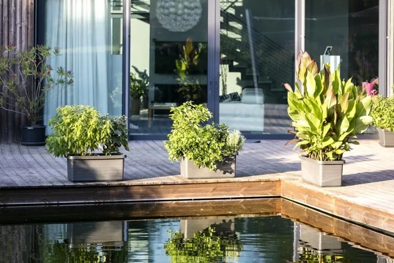 Jardinieră auto-udare Berberis DUO, teracota