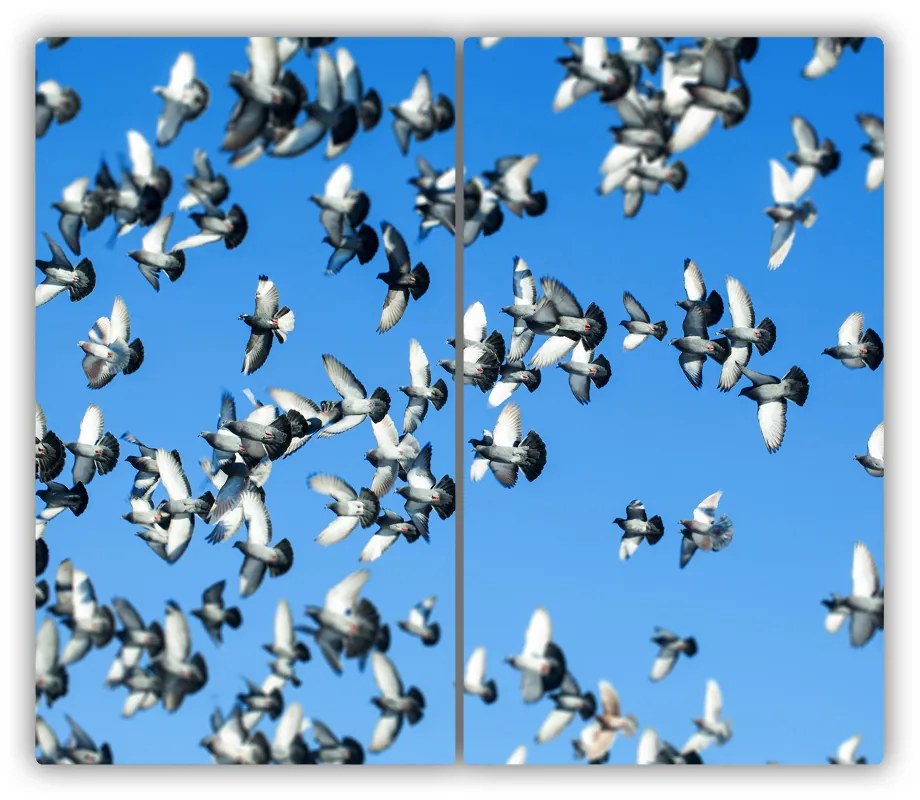 Tocator din sticla Pigeon roi