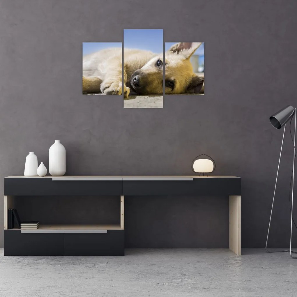 Tablou cu cățeluș dormind (90x60 cm)