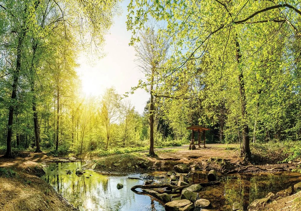 Fototapet - Pădurea verde (152,5x104 cm)