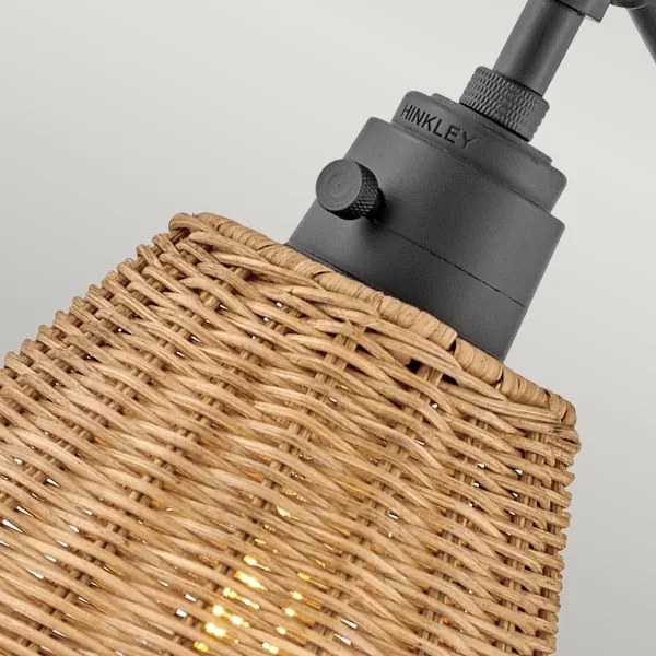 Hinkley HK-ARTI-1W-BK-NR - Aplică de perete cu spot ARTI 1xE27/60W/230V negru/maro