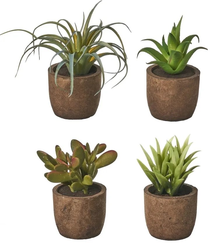 Plante artificiale 4 buc. Cactus – Casa Selección