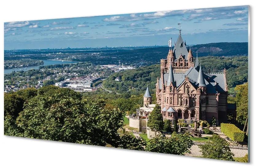 Tablouri pe sticlă Germania Panorama a castelului orașului