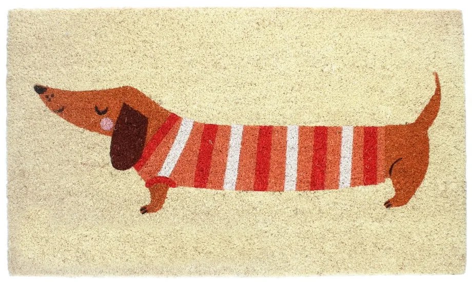 Covoraș de intrare din fibre de nucă de cocos 43x73 cm Sausage Dog – Rex London