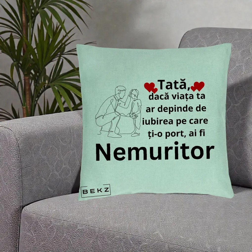 Cadou pentru Tata - Perna Personalizata Tata Nemuritor Baietel, 40x40 cm, Verde Menta, Husa Detasabila, Perna Inclusa, BEKZ®