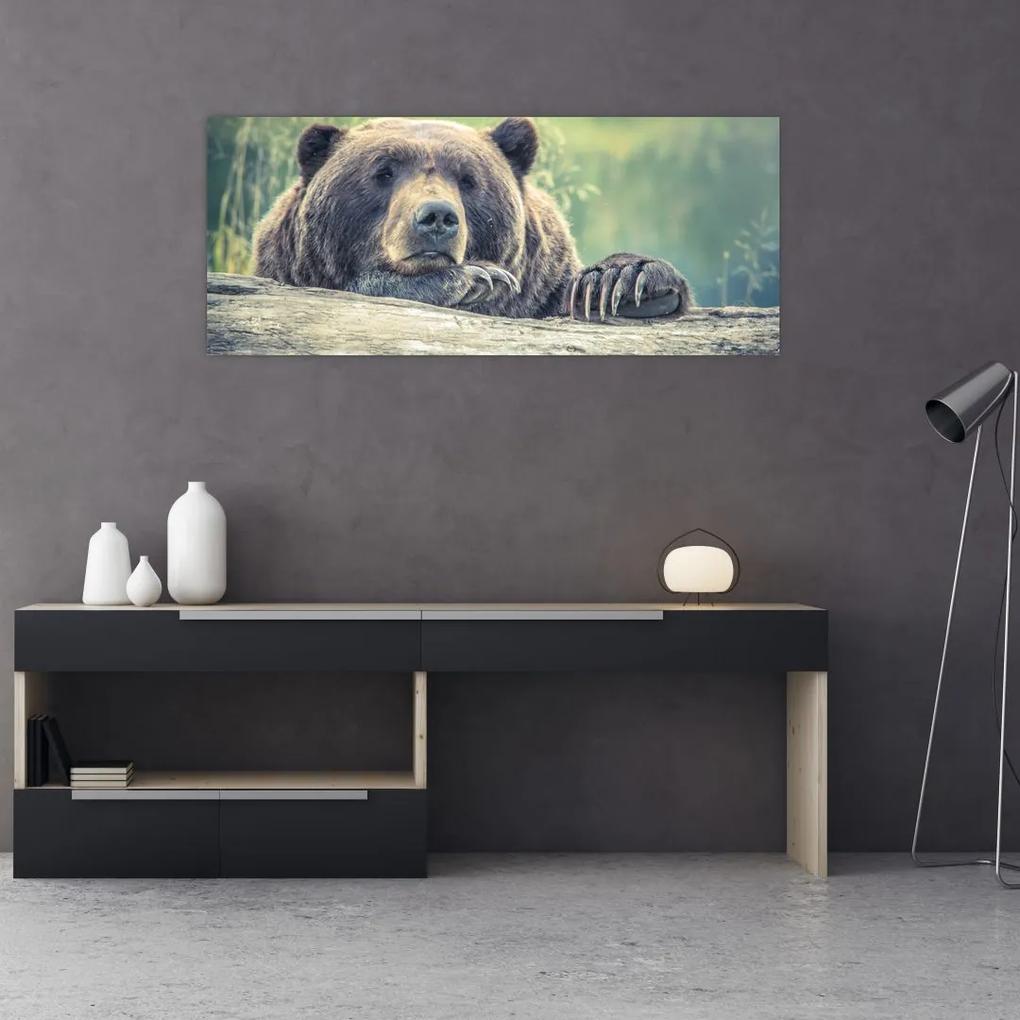 Tablou cu urs (120x50 cm), în 40 de alte dimensiuni noi