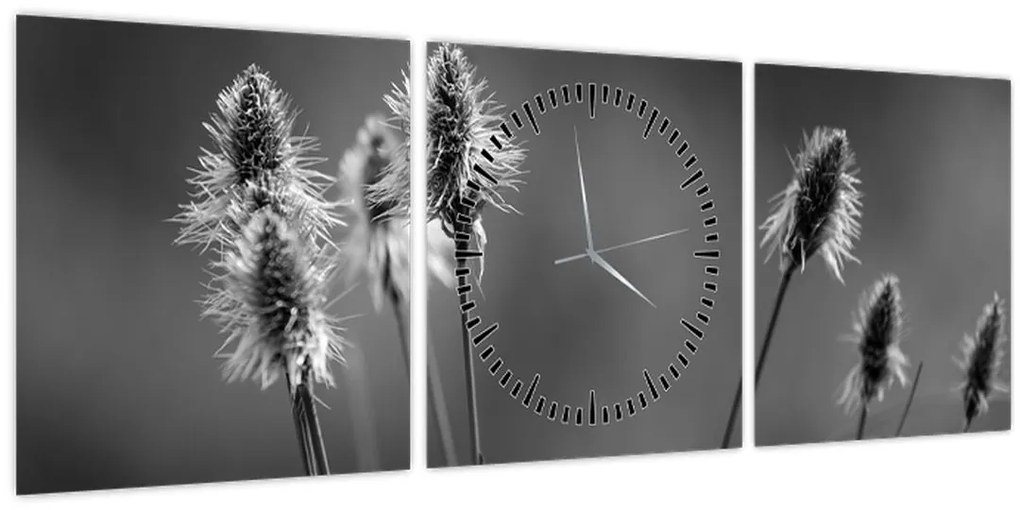 Tablou - Iarbă moale bej N⁰2 (cu ceas) (90x30 cm)