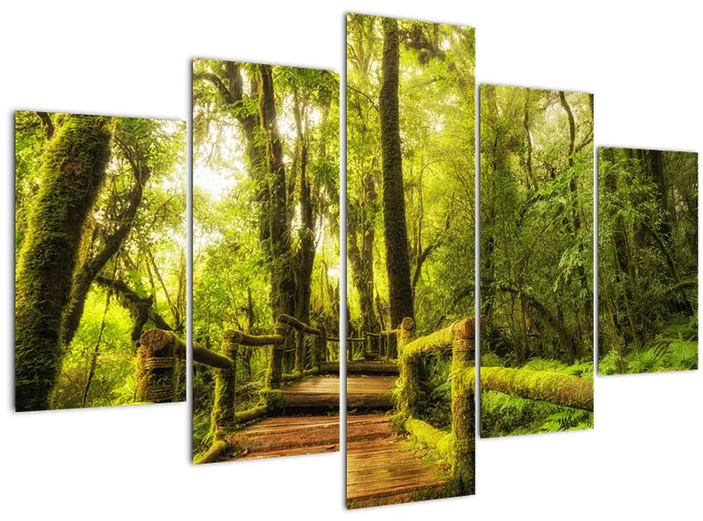 Tablou junglei cu mușchi (150x105 cm)