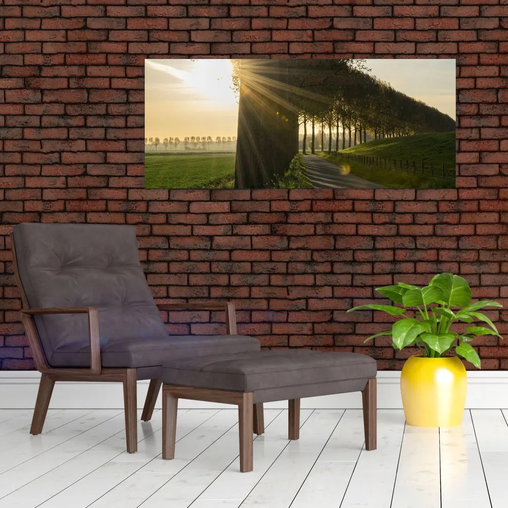 Tablou cu alee (120x50 cm)