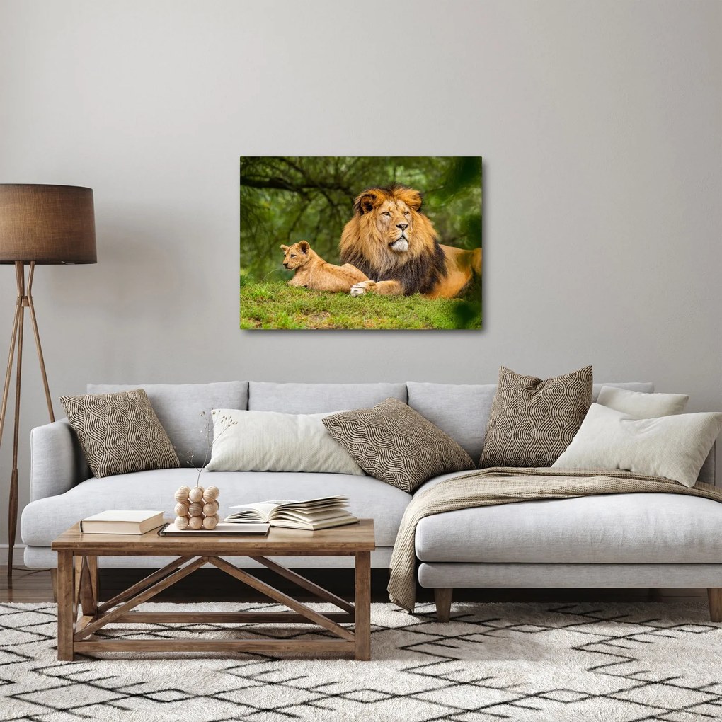 Tablou cu lei (70x50 cm)