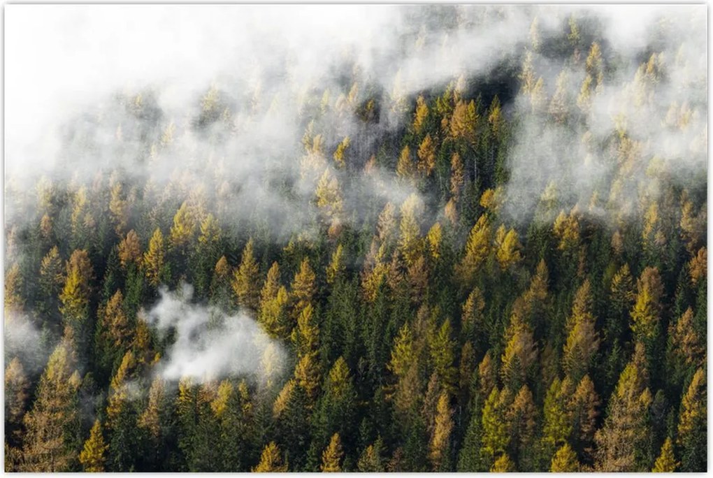 Tablou - Pădure în nori (90x60 cm)