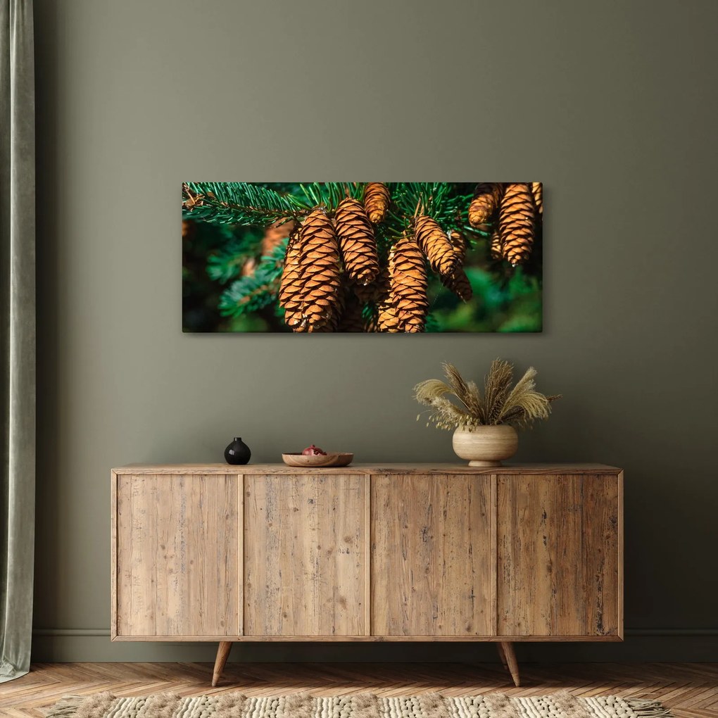 Tablou cu con de brad (120x50 cm)