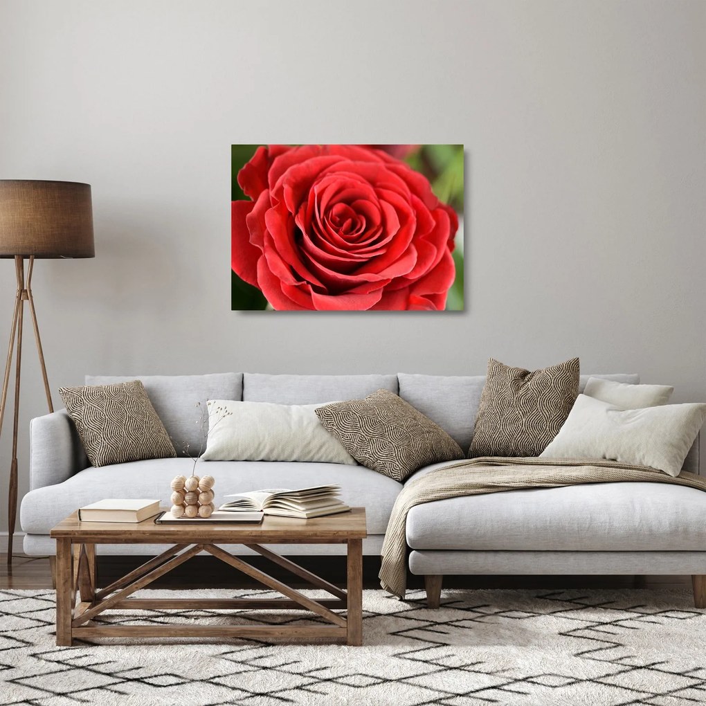 Tablou pe sticlă - Flori de trandafir (70x50 cm)
