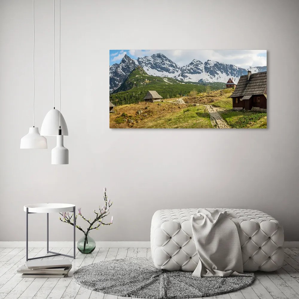 Tablou acrilic Hale tatry
