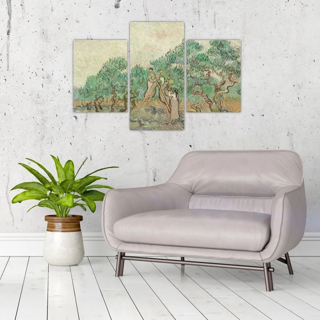 Tablou - Vincent van Gogh, The Olive Orchard, reproducere (90x60 cm)