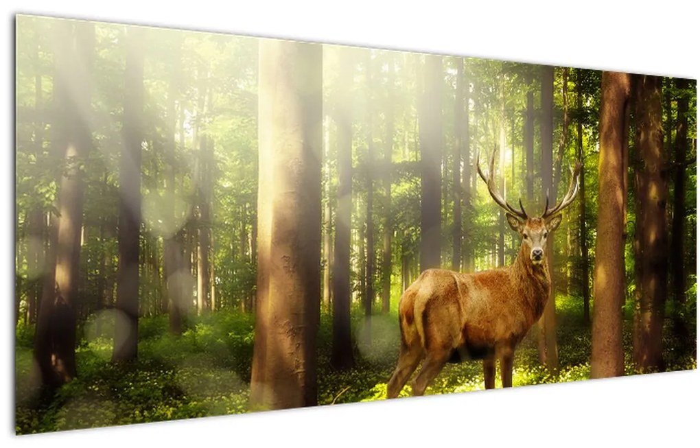Tablou cu cerbul în pădure (120x50 cm)