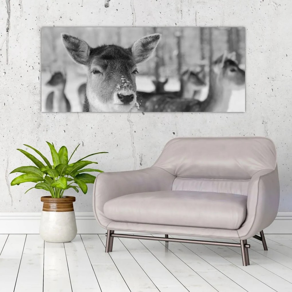 Tablou - Cerbi,alb-negru (120x50 cm)