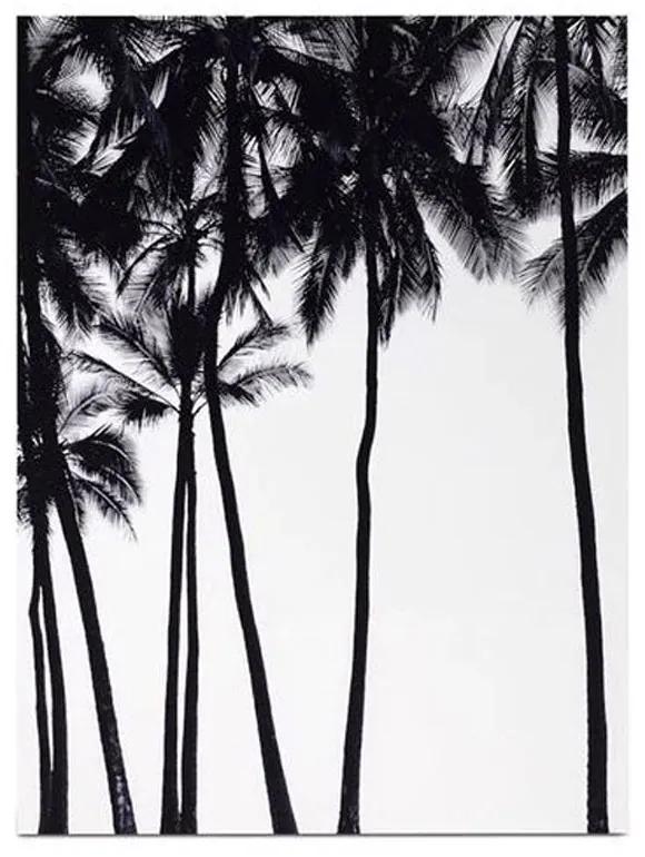 Tablou Palm sky - BoConcept