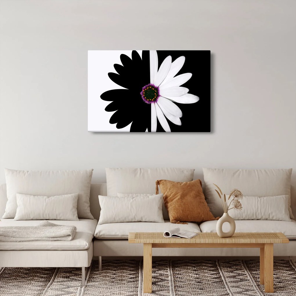 Tablou - Floare, alb- negru (90x60 cm)