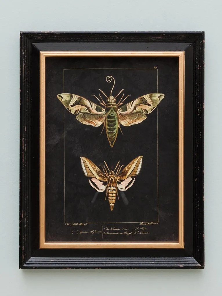 Set 2 tablouri, "Butterfly"