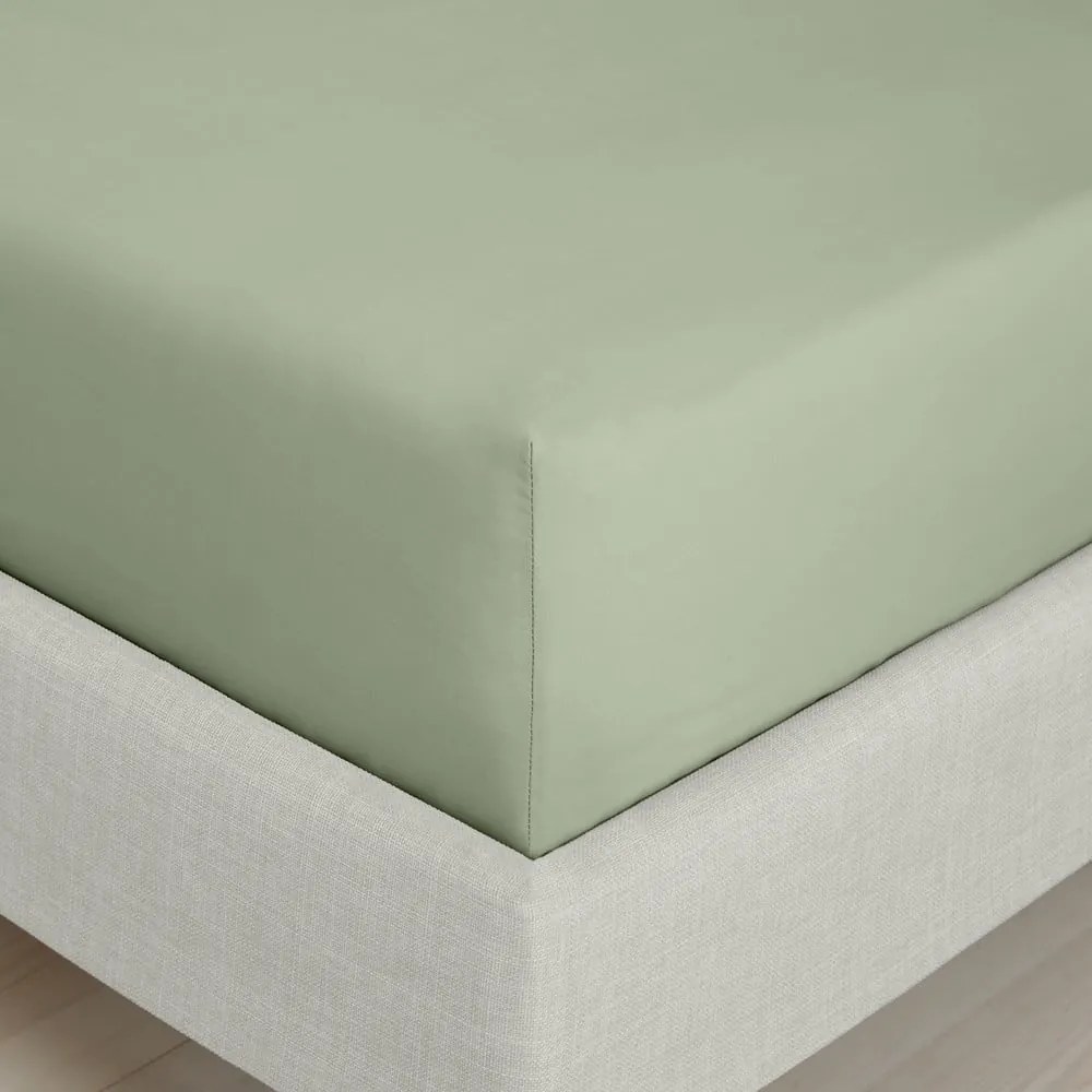 Cearceaf verde din bumbac percal cu elastic 90x190 cm Cotton Percale – Bianca