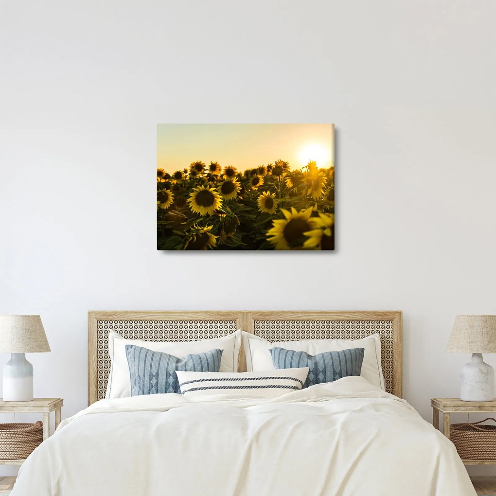 Tablou cu lan de floarea soarelui (70x50 cm)