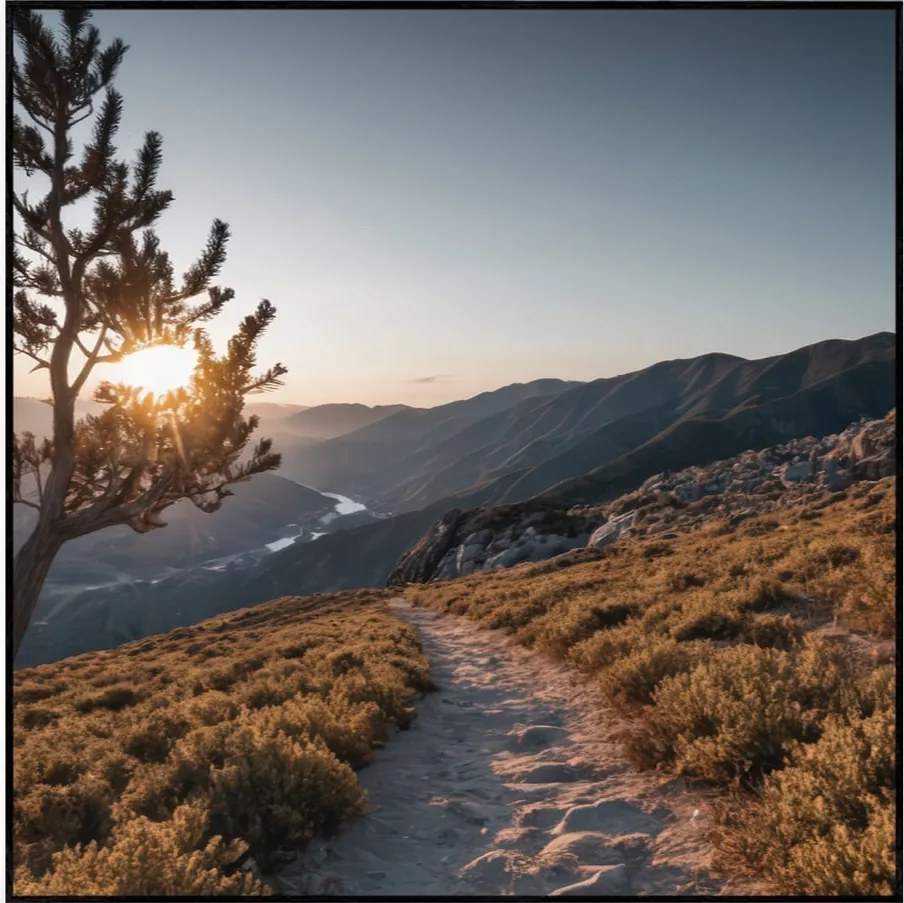 Tablou 50x50 cm Mountain Path – knor