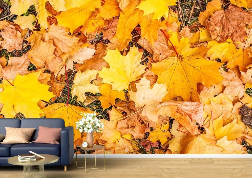 Tapet Premium Canvas - Covorul de frunze