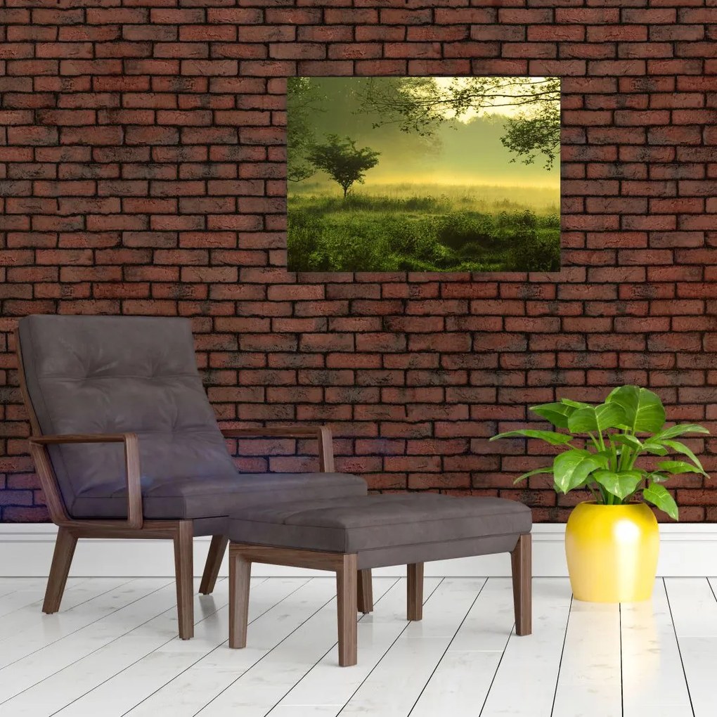 Tablou pe sticlă - Pădurea trezită (70x50 cm)