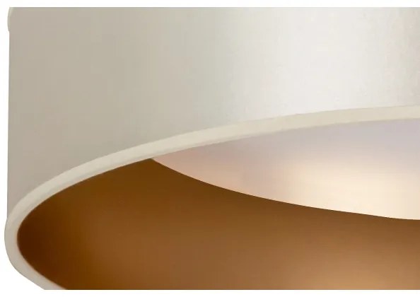 Plafonieră LED Duolla ROLLER LED/24W/230V d. 45 cm argintiu/auriu